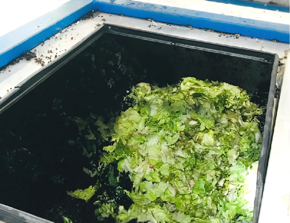 德森餐廚垃圾處理設(shè)備的微生物菌群 德森餐廚垃圾處理設(shè)備的微生物菌群